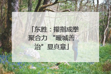 东胜：攥指成拳聚合力 “暖城善治”显真章